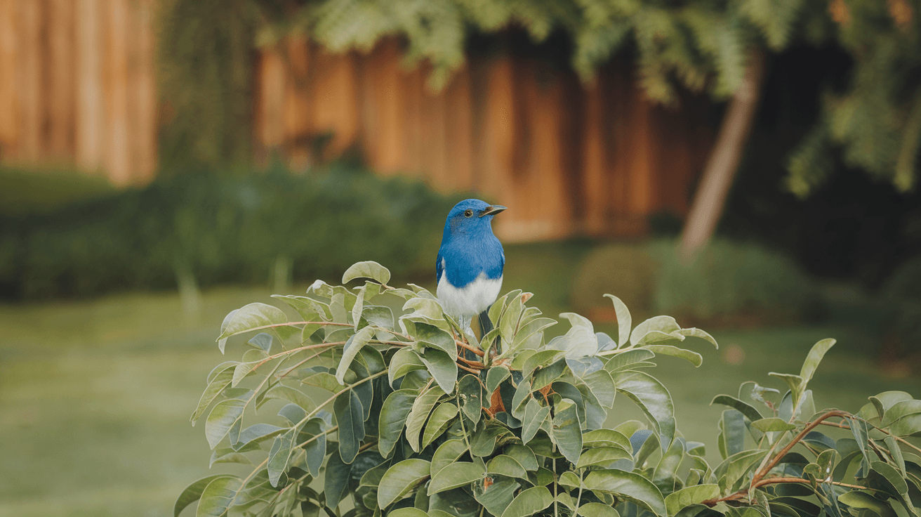 Backyard birds in delaware