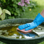 A step-by-step guide on how to clean a birdbath